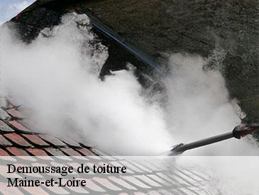 Demoussage de toiture Maine-et-Loire