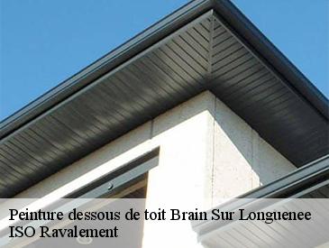 Peinture dessous de toit  brain-sur-longuenee-49220 ISO Ravalement