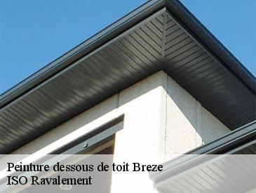 Peinture dessous de toit  breze-49260 ISO Ravalement