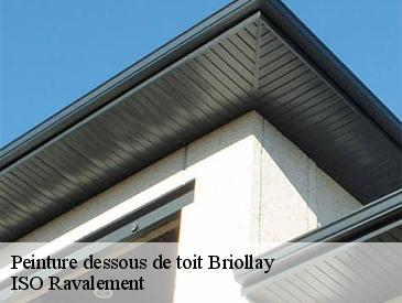 Peinture dessous de toit  briollay-49125 ISO Ravalement