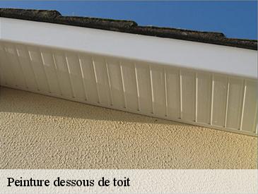 Peinture dessous de toit  49270