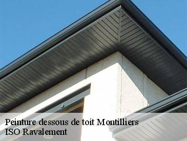 Peinture dessous de toit  montilliers-49310 ISO Ravalement