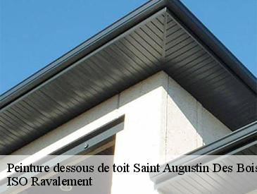 Peinture dessous de toit saint-augustin-des-bois-49170 ISO Ravalement