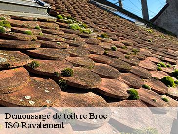 Demoussage de toiture  broc-49490 ISO Ravalement