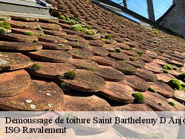 Demoussage de toiture  saint-barthelemy-d-anjou-49124 ISO Ravalement