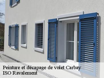 Peinture et décapage de volet carbay-49420 ISO Ravalement