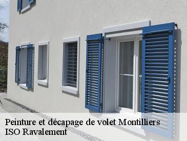Peinture et décapage de volet montilliers-49310 ISO Ravalement