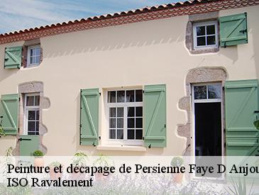 Peinture et décapage de Persienne  faye-d-anjou-49380 ISO Ravalement